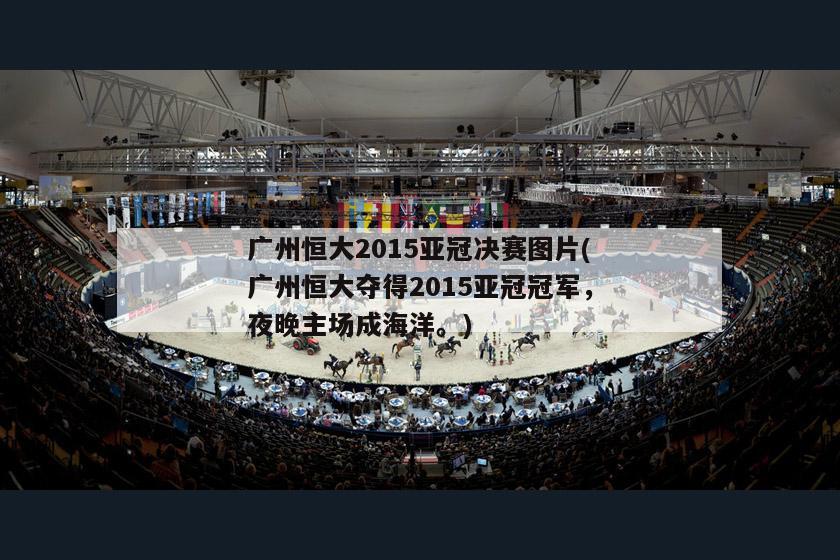 广州恒大2015亚冠决赛图片(广州恒大夺得2015亚冠冠军，夜晚主场成海洋。)